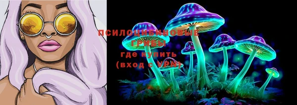 прущие грибы Нягань