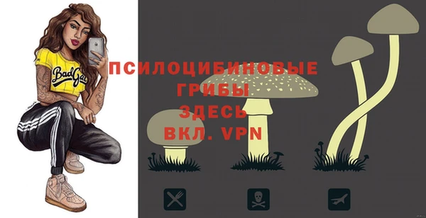 крисы Новодвинск