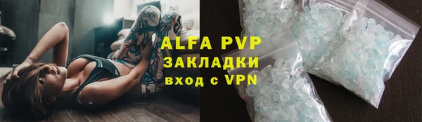 прущие грибы Нягань