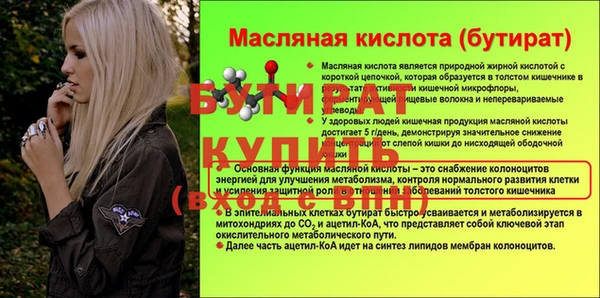 крисы Новодвинск