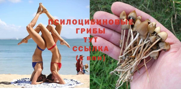 марки lsd Новозыбков