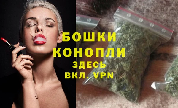 прущие грибы Нягань