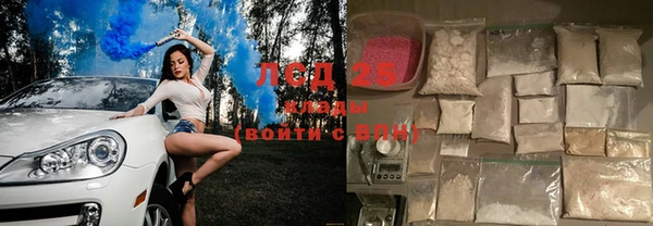 спиды Няндома