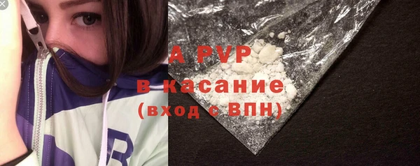 крисы Новодвинск