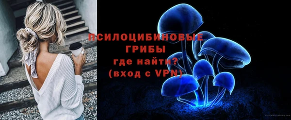 крисы Новодвинск